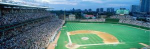 Panoramic | View From Inside Wrigley Field Wall Mural Architectural Architectural