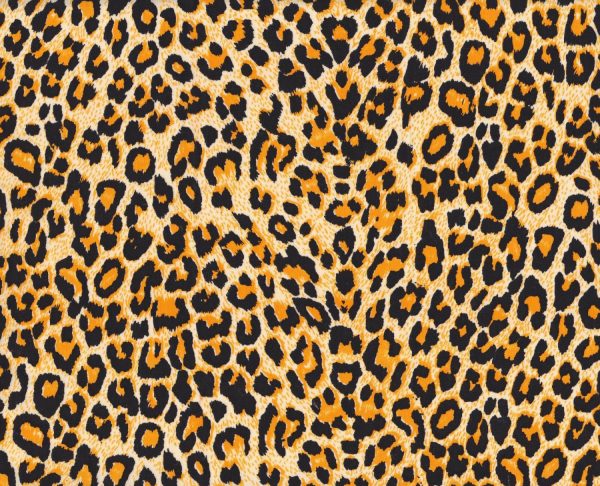 Patterns | Leopard Skin Texture Wallpaper Kids Rooms Kids Rooms