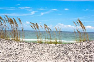 Seasonal | A Beach Off Of The Emerald Coast Mural Wallpaper Beach & Tropical Beach & Tropical