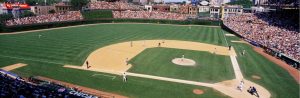 Seasonal | A Day At The Ball Park Wall Mural Architectural Architectural