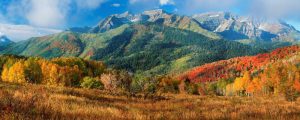 Seasonal | An Extended Autumn Wall Mural Panoramic Panoramic