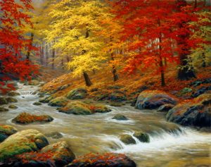 Seasonal | Autumn In Boulder Creek Wall Mural Forests Forests