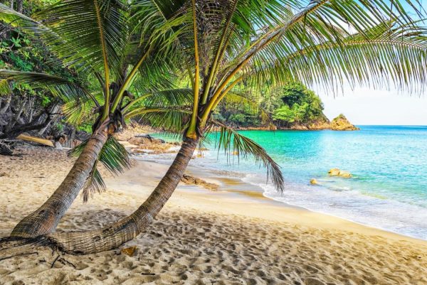 Seasonal | Banana Beach In Phuket, Thailand Wall Mural Beach & Tropical Beach & Tropical