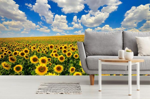 Seasonal | Field Of Blooming Sunflowers Wallpaper Mural Flowers Flowers