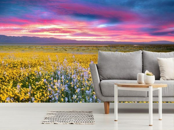 Seasonal | Field Of Hillside Daisies And Blue Native Mustard Carrizo Wallpaper Mural Flowers Flowers