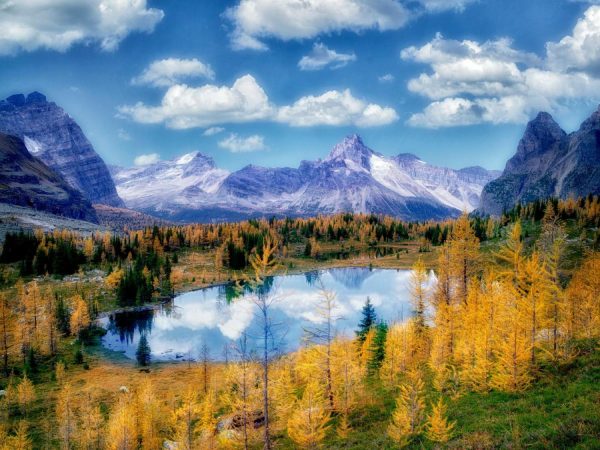 Seasonal | Hungabee Lake At Yoho National Park Wall Mural Forests Forests