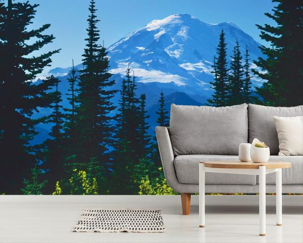 Seasonal | Mt. Rainier Above Autumn Huckleberry Wallpaper Mural Landscapes & Scenic Landscapes & Scenic