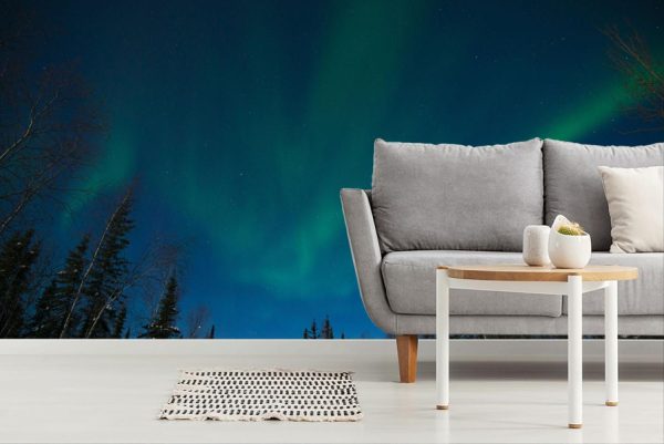 Seasonal | Northern Lights Mural Wallpaper Seasonal Seasonal