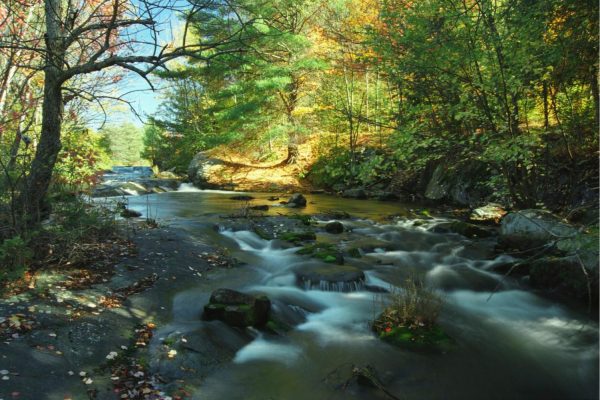 Seasonal | Rocky Cascades Wall Mural Landscapes & Scenic Landscapes & Scenic