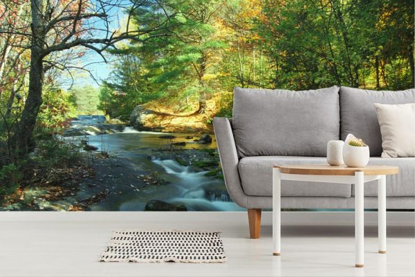 Seasonal | Rocky Cascades Wall Mural Landscapes & Scenic Landscapes & Scenic