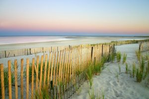 Seasonal | Sandy Beach At Twilight Wallpaper Mural Beach & Tropical Beach & Tropical