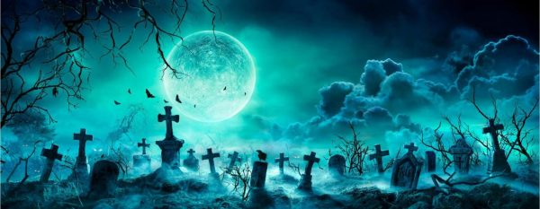 Seasonal | Spooky Cemetery At Night Wall Mural Kids Rooms Kids Rooms