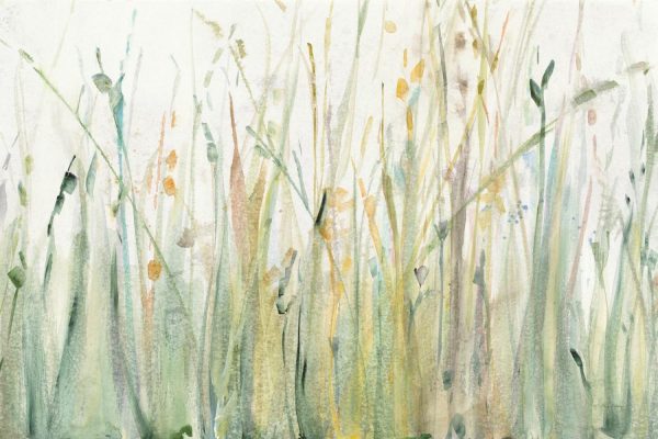 Seasonal | Spring Grasses I Mural Wallpaper Colors Colors