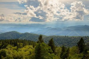 Seasonal | Summer Daze On The Blue Ridge Parkway Wall Mural Nature Nature