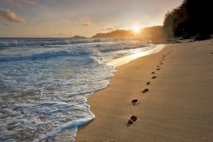 Seasonal | Sunrise Beach With Footprints In The Sand Wall Mural Beach & Tropical Beach & Tropical