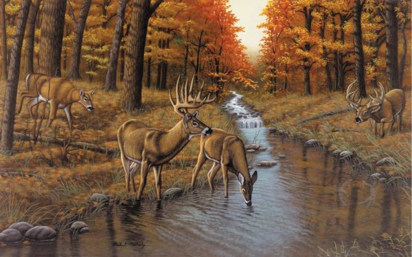 Seasonal | Symond’s Creek Mural Wallpaper Animals Animals