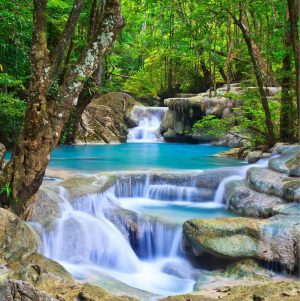 Seasonal | Thailand Waterfall Wall Mural Nature Nature