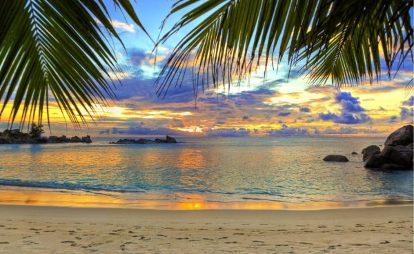 Seasonal | Tropical Beach At Sunset Mural Wallpaper Beach & Tropical Beach & Tropical