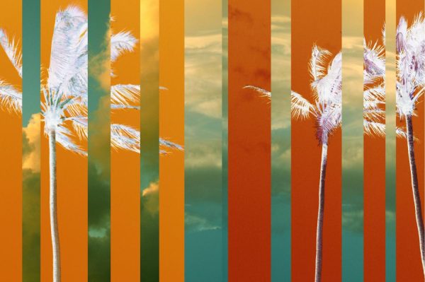 Seasonal | Tropical Stripes Wallpaper Mural Beach & Tropical Beach & Tropical