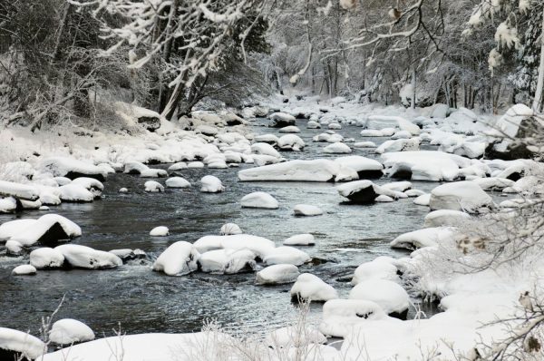 Seasonal | Yosemite River Mural Wallpaper Seasonal Seasonal