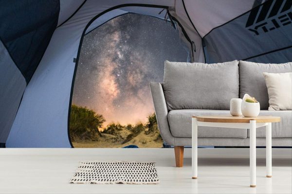 Space | A Night Under the Stars Wall Mural Space Space