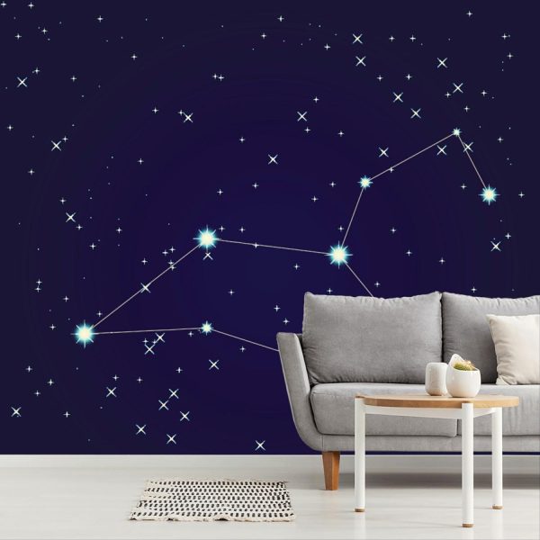 Space | Cancer Constellation Wall Mural Space Space