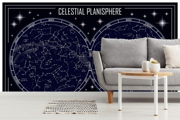 Space | Celestial Planisphere Map Wall Mural Space Space