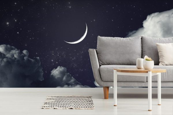 Space | Crescent Moon Wall Mural Space Space