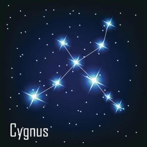 Space | Cygnus Constellation Wall Mural Space Space