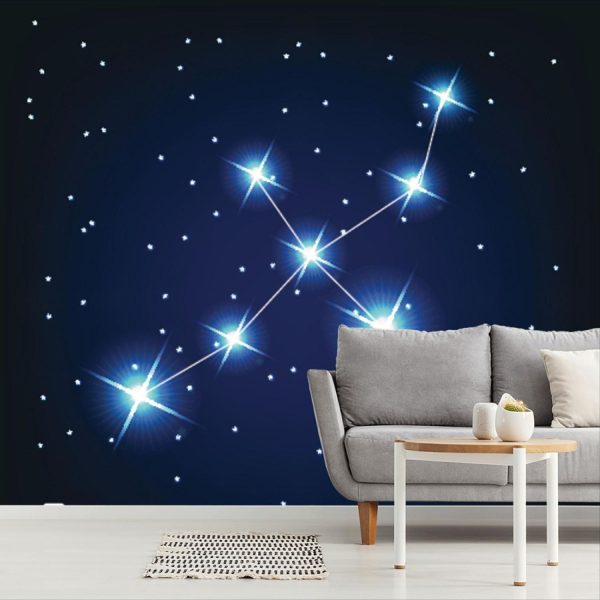 Space | Cygnus Constellation Wall Mural Space Space