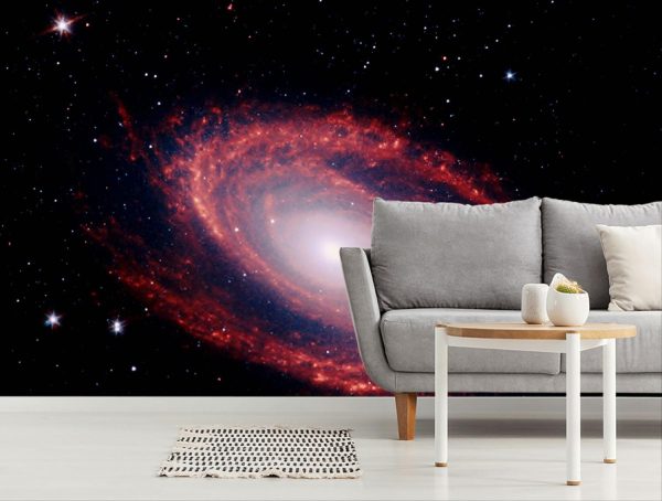 Space | Galaxy Messier 81 Wallpaper Mural Space Space