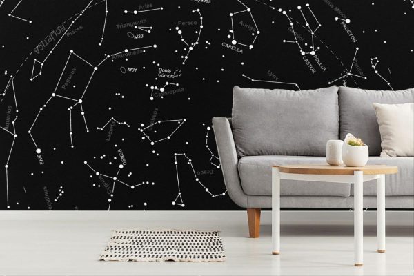 Space | Maps Of Stars Focused On Boreal Constellations Mural Wallpaper Space Space