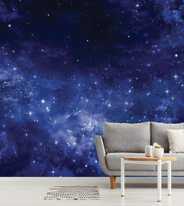 Space | Midnight Wonder Mural Wallpaper Space Space