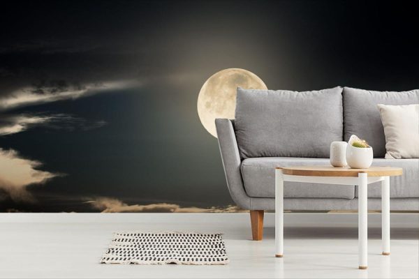 Space | Moon Night Wall Mural Space Space