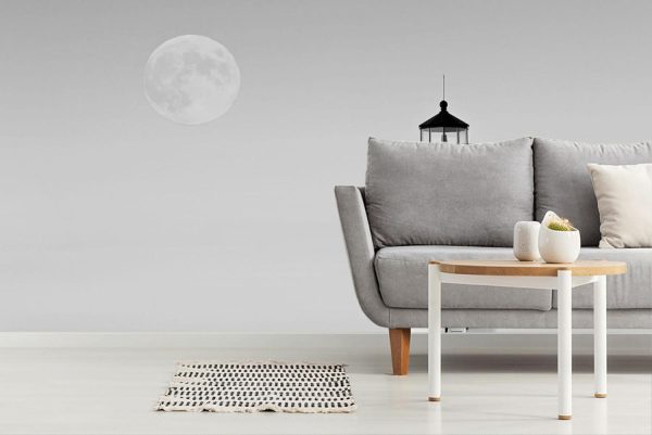 Space | Moon Over Marthas Vineyard Mural Wallpaper Space Space