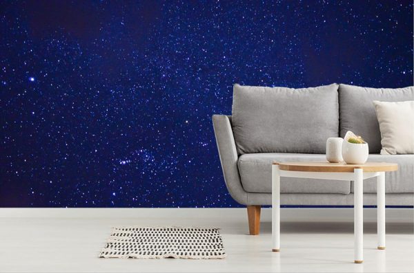 Space | Night Sky With Stars Mural Wallpaper Space Space