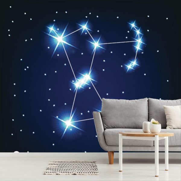 Space | Orion Constellation Wall Mural Space Space