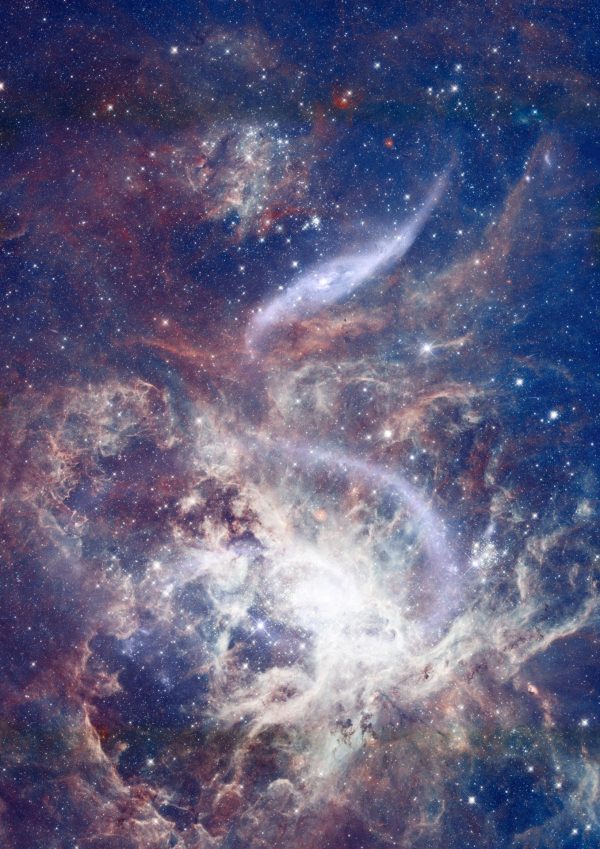 Space | Star Field Galaxy Wall Mural Space Space