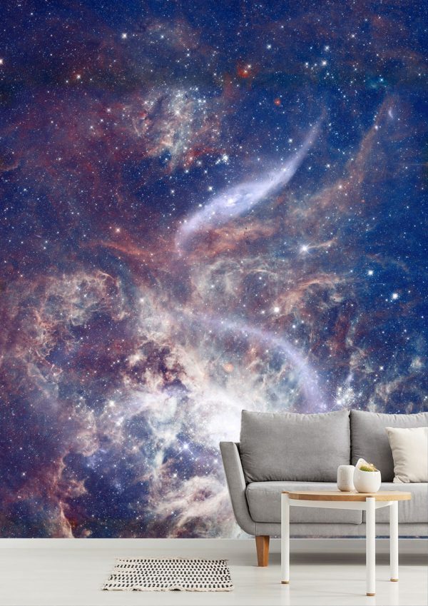 Space | Star Field Galaxy Wall Mural Space Space