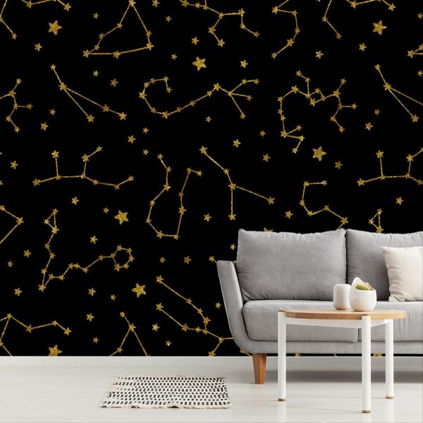 Space | Star Gazer – Black Wall Mural Space Space