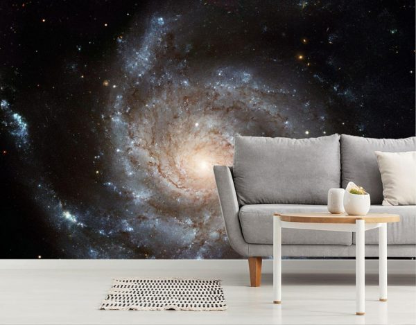 Space | Stunning Pinwheel Galaxy Wall Mural Space Space