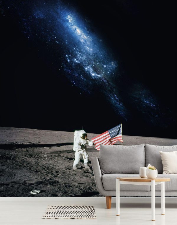 Space | Walk The Moon With American Flag Mural Wallpaper Space Space