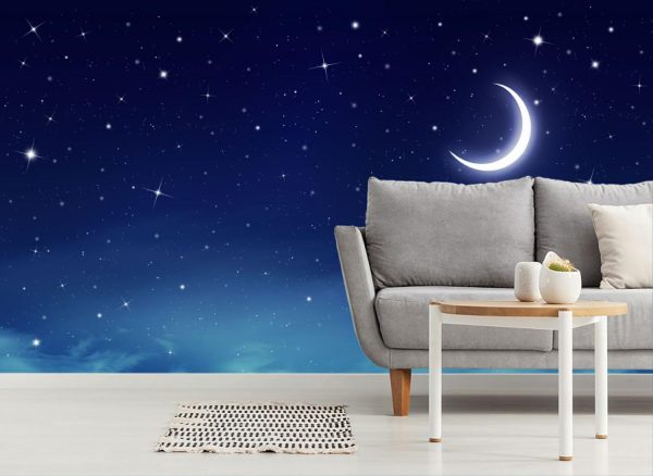 Space | Wishing On The Moon Mural Wallpaper Space Space