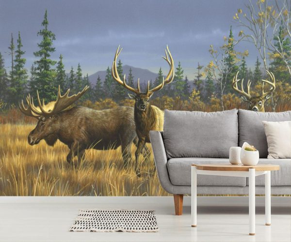 Sports | American Game Wall Mural Animals Animals