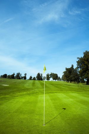 Sports | Golf Flag Wallpaper Mural Seasonal Seasonal