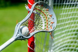 Sports | Lacrosse Stick And Ball Near Net Wall Mural Sports Sports