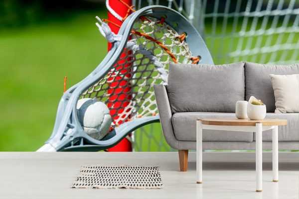 Sports | Lacrosse Stick And Ball Near Net Wall Mural Sports Sports