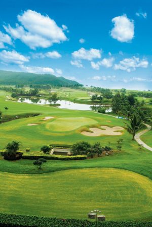 Sports | Perfect Day Golf Course Wall Mural Sports Sports