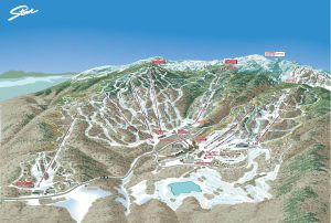 Sports | Stowe Ski Trail Map Wall Mural Maps & Flags Maps & Flags