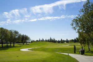 Sports | Summer Day Golf Course Mural Wallpaper Seasonal Seasonal